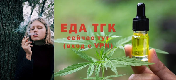 молекула духа Арсеньев