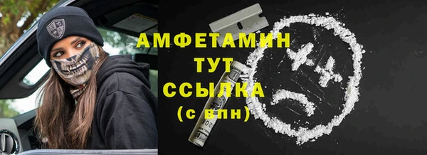 молекула духа Арсеньев