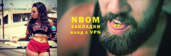 молекула духа Арсеньев