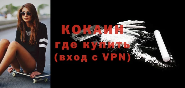 молекула духа Арсеньев