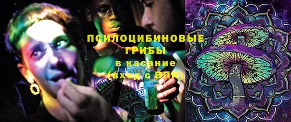 эйфоретик Аркадак
