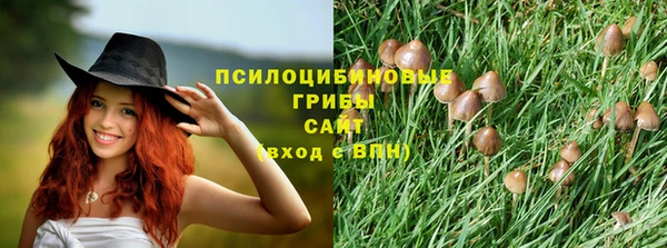 эйфоретик Аркадак