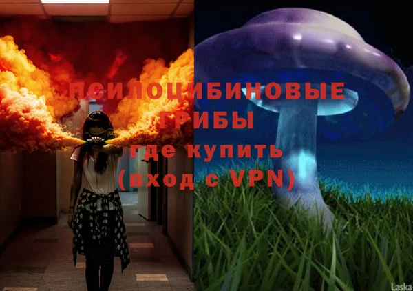 эйфоретик Аркадак