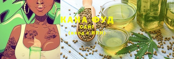 молекула духа Арсеньев