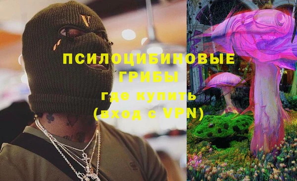 молекула духа Арсеньев