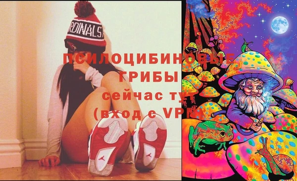молекула духа Арсеньев